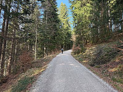 ...in östlicher Grundrichtung bergauf