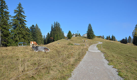 Wanderung von Tegernsee zur Neureuth