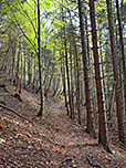 ...und schlagen den Bayernweg ein