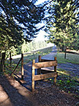 ...gelangen wir zum Waldrand