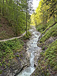 ...und folgen weiter dem Grießbach...