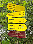 ...stoßen wir auf einen breiten Forstweg...