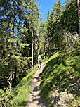 Der Wald lichtet sich...