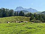 Blick zu den Loferer Steinbergen
