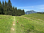 Den kleinen Wiesenweg...