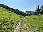 An der Huberalm schlagen wir die Route zur Jägeralm ein
