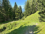 ...steigen wir hinunter zum Waldrand
