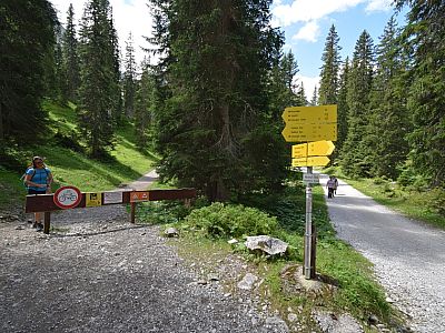 Wir verlassen nach links den Fahrweg