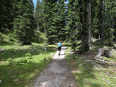 Über einen schmalen Weg ...