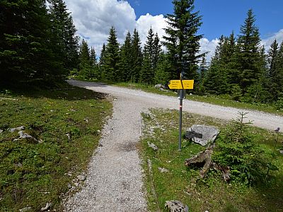... treffen wir wieder auf die Fahrstraße ...