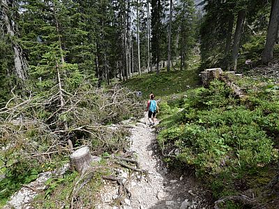 ... und marschieren über eine Variante zurück zur Seilbahn