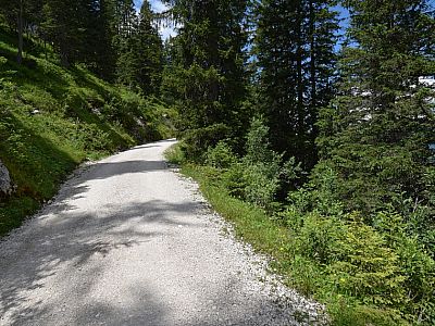 Der Weg steigt nun leicht an