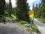 Wir verlassen nach links den Fahrweg
