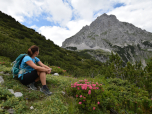 Eine kleine Pause bei Alpenrosen und dem Blick auf die Ehrwalder Sonnenspitze