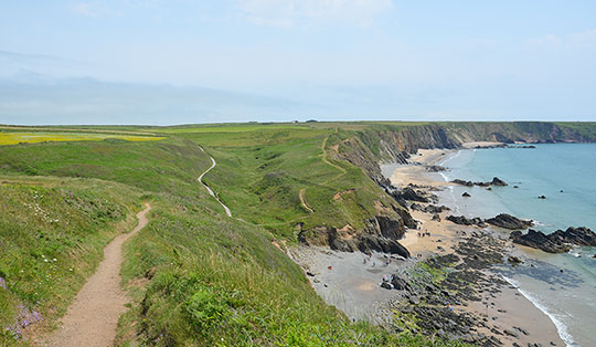 Marloes - Küstenwanderung in Pembrokeshire