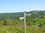 ...zum Abzweig Richtung Gwaith Glasdir