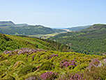 Blick zur Cardigan Bay