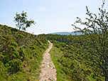 Wir wandern nordostwärts...