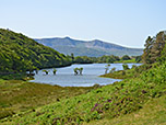 Blick auf den Llyn Cynwch