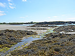 Der Strand Borthwen